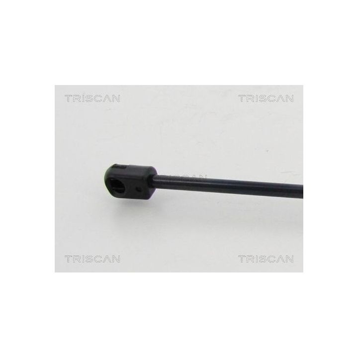 Dujinė spyruoklė, gaubtas TRISCAN 8710 10103