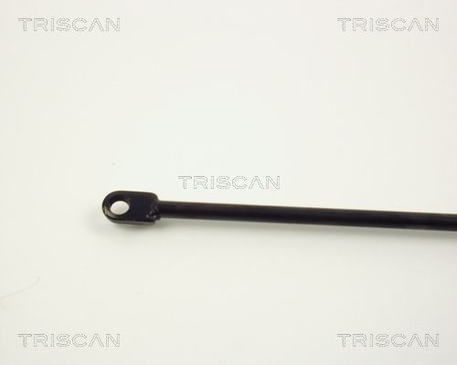 Dujinė spyruoklė, gaubtas TRISCAN 8710 1012
