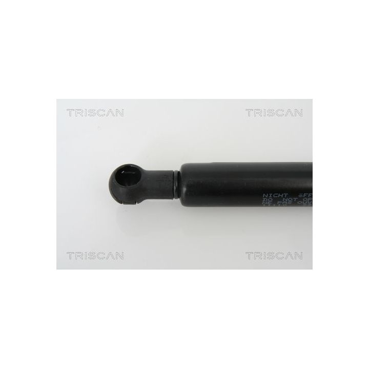 Dujinė spyruoklė, gaubtas TRISCAN 8710 11110