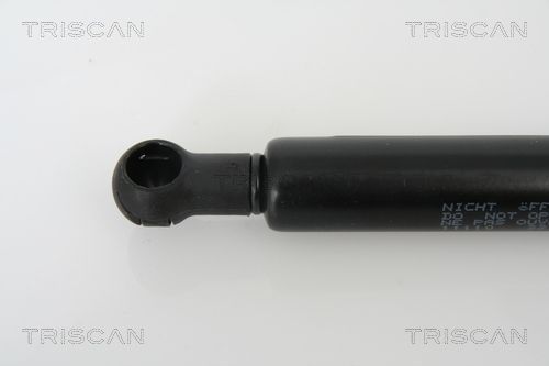 Dujinė spyruoklė, gaubtas TRISCAN 8710 11110