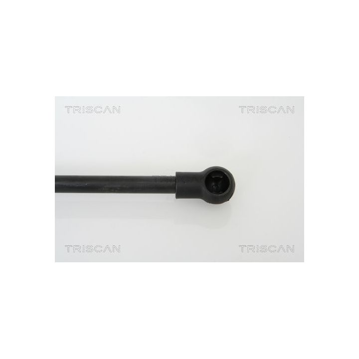 Dujinė spyruoklė, gaubtas TRISCAN 8710 11110
