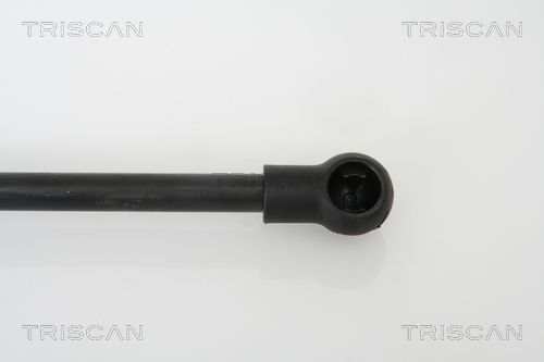 Dujinė spyruoklė, gaubtas TRISCAN 8710 11110
