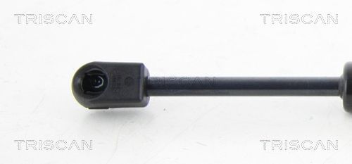 Dujinė spyruoklė, gaubtas TRISCAN 8710 11129