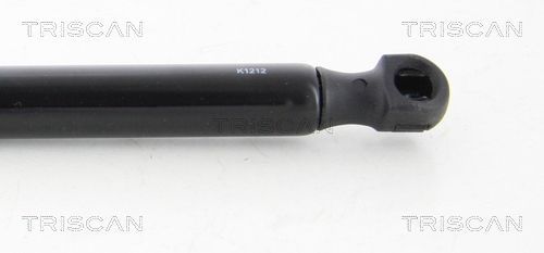 Dujinė spyruoklė, gaubtas TRISCAN 8710 11129