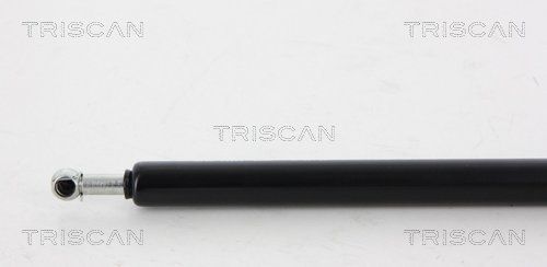 Dujinė spyruoklė, gaubtas TRISCAN 8710 15101