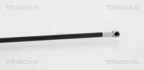 Dujinė spyruoklė, gaubtas TRISCAN 8710 15101