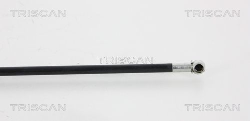 Dujinė spyruoklė, gaubtas TRISCAN 8710 15102