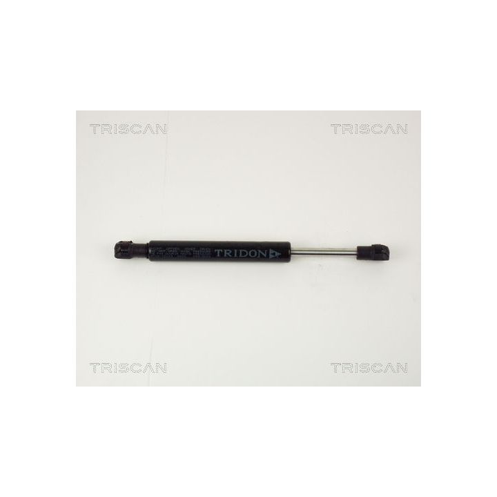 Dujinė spyruoklė, gaubtas TRISCAN 8710 15103