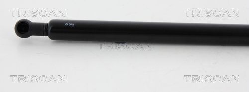 Dujinė spyruoklė, gaubtas TRISCAN 8710 15106