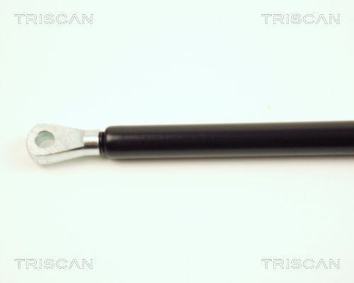 Dujinė spyruoklė, gaubtas TRISCAN 8710 16102