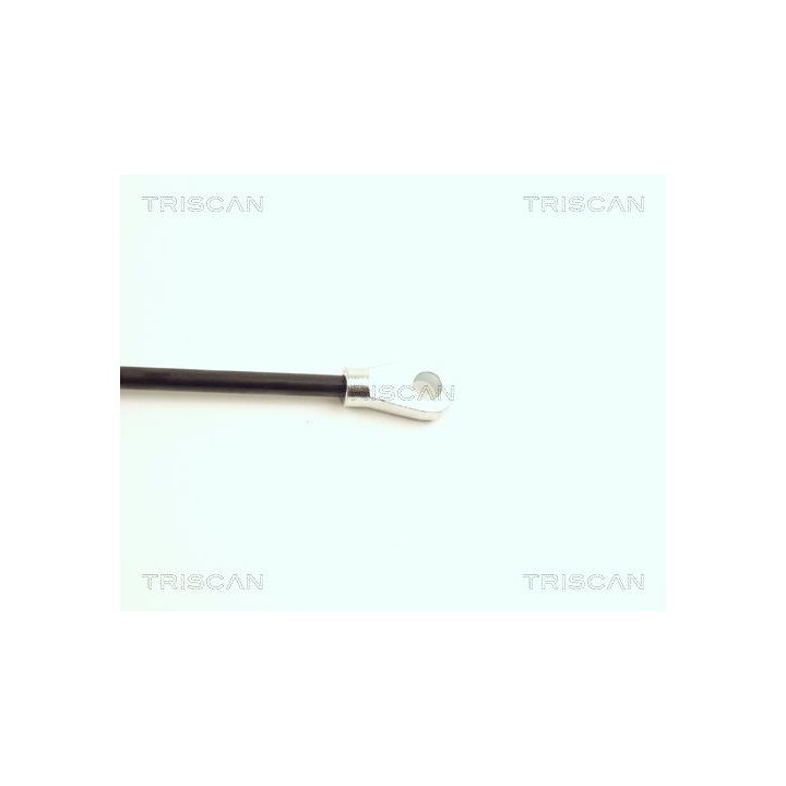 Dujinė spyruoklė, gaubtas TRISCAN 8710 16102