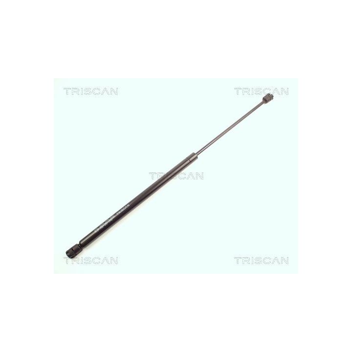 Dujinė spyruoklė, gaubtas TRISCAN 8710 17101