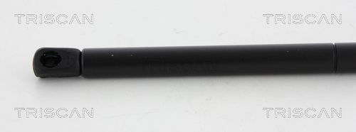 Dujinė spyruoklė, gaubtas TRISCAN 8710 17104