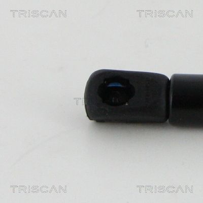 Dujinė spyruoklė, gaubtas TRISCAN 8710 17108