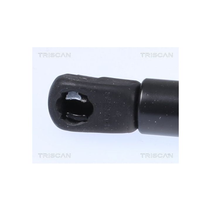 Dujinė spyruoklė, gaubtas TRISCAN 8710 18103