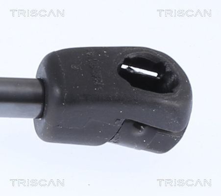 Dujinė spyruoklė, gaubtas TRISCAN 8710 18103