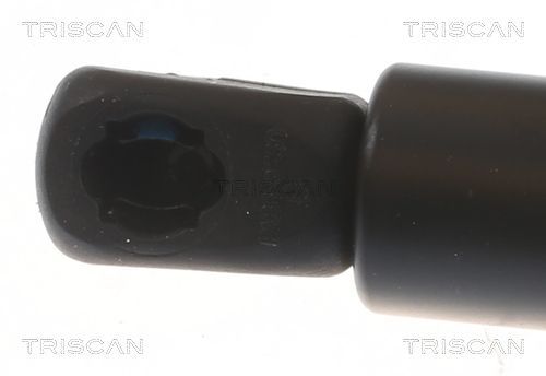 Dujinė spyruoklė, gaubtas TRISCAN 8710 18104