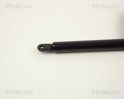 Dujinė spyruoklė, gaubtas TRISCAN 8710 2001