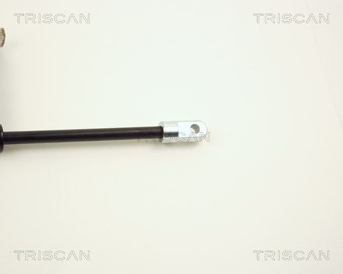 Dujinė spyruoklė, gaubtas TRISCAN 8710 2001