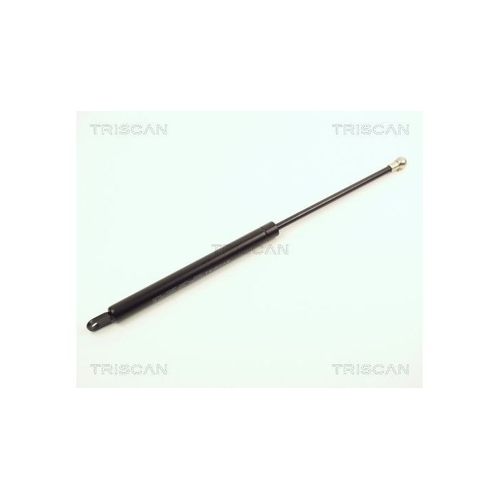 Dujinė spyruoklė, gaubtas TRISCAN 8710 2002