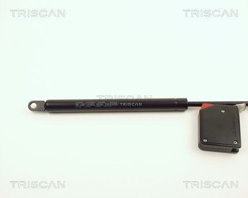 Dujinė spyruoklė, gaubtas TRISCAN 8710 2002