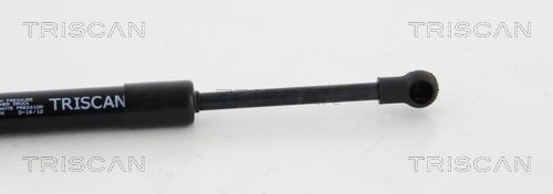 Dujinė spyruoklė, gaubtas TRISCAN 8710 20106