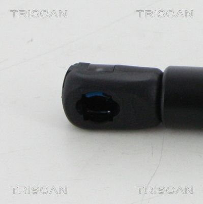 Dujinė spyruoklė, gaubtas TRISCAN 8710 20210