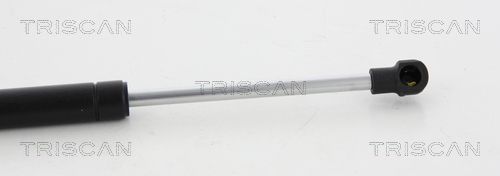 Dujinė spyruoklė, gaubtas TRISCAN 8710 23119