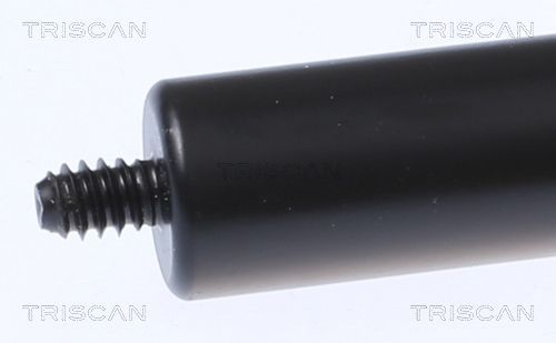 Dujinė spyruoklė, gaubtas TRISCAN 8710 23134