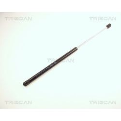 Dujinė spyruoklė, gaubtas TRISCAN 8710 25100