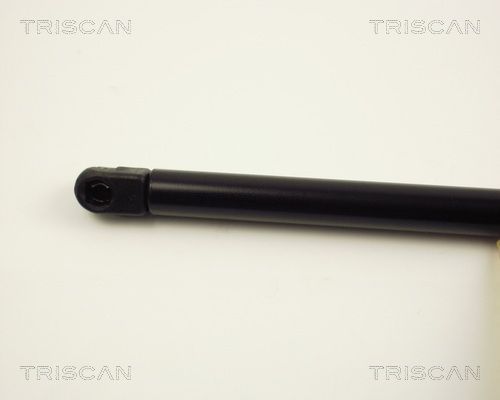 Dujinė spyruoklė, gaubtas TRISCAN 8710 25100