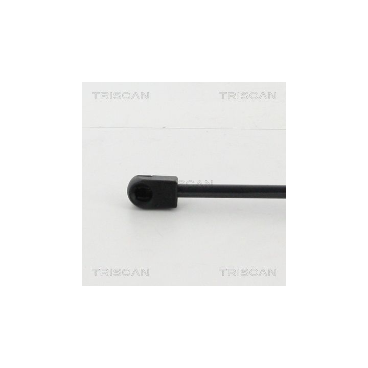 Dujinė spyruoklė, gaubtas TRISCAN 8710 25105