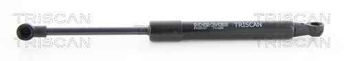 Dujinė spyruoklė, gaubtas TRISCAN 8710 25107