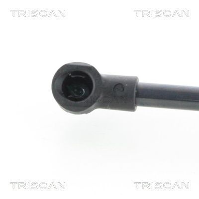 Dujinė spyruoklė, gaubtas TRISCAN 8710 25107