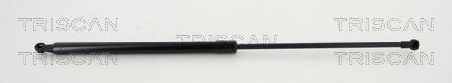 Dujinė spyruoklė, gaubtas TRISCAN 8710 25108