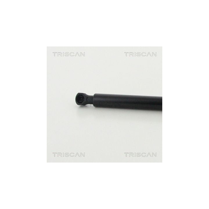 Dujinė spyruoklė, gaubtas TRISCAN 8710 25112