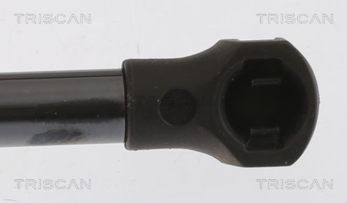 Dujinė spyruoklė, gaubtas TRISCAN 8710 25114