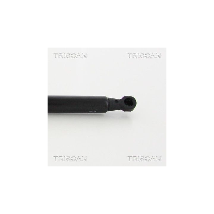 Dujinė spyruoklė, gaubtas TRISCAN 8710 28106