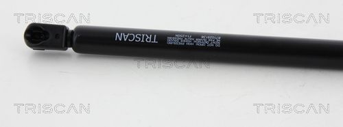 Dujinė spyruoklė, gaubtas TRISCAN 8710 29136