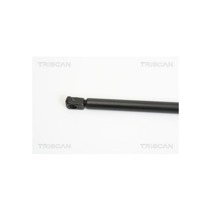 Dujinė spyruoklė, gaubtas TRISCAN 8710 43101