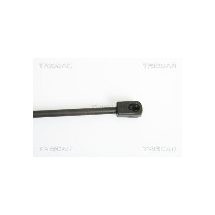 Dujinė spyruoklė, gaubtas TRISCAN 8710 43101