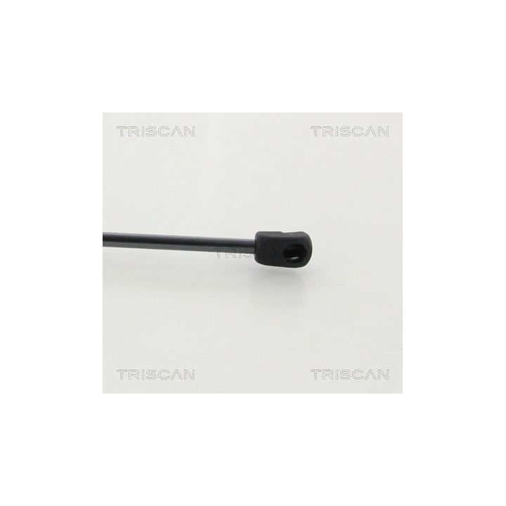 Dujinė spyruoklė, gaubtas TRISCAN 8710 43104