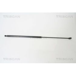Dujinė spyruoklė, gaubtas TRISCAN 8710 65104
