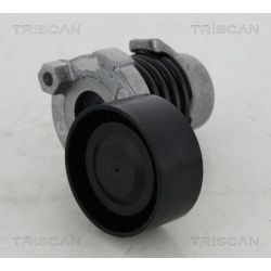 Diržo įtempiklis, V formos rumbuotas diržas TRISCAN 8641 253012