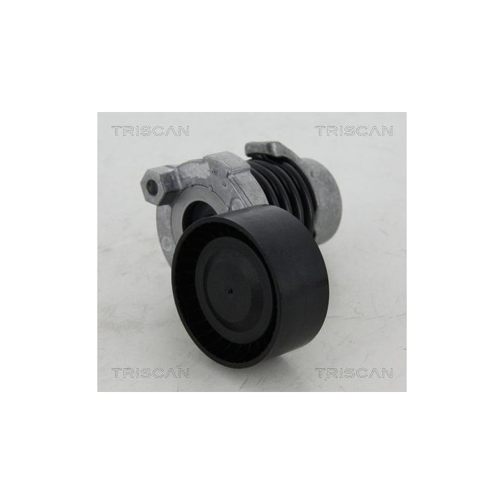 Diržo įtempiklis, V formos rumbuotas diržas TRISCAN 8641 253012