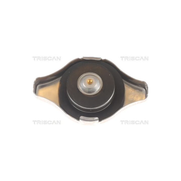 Radiatoriaus dangtelis TRISCAN 8610 17