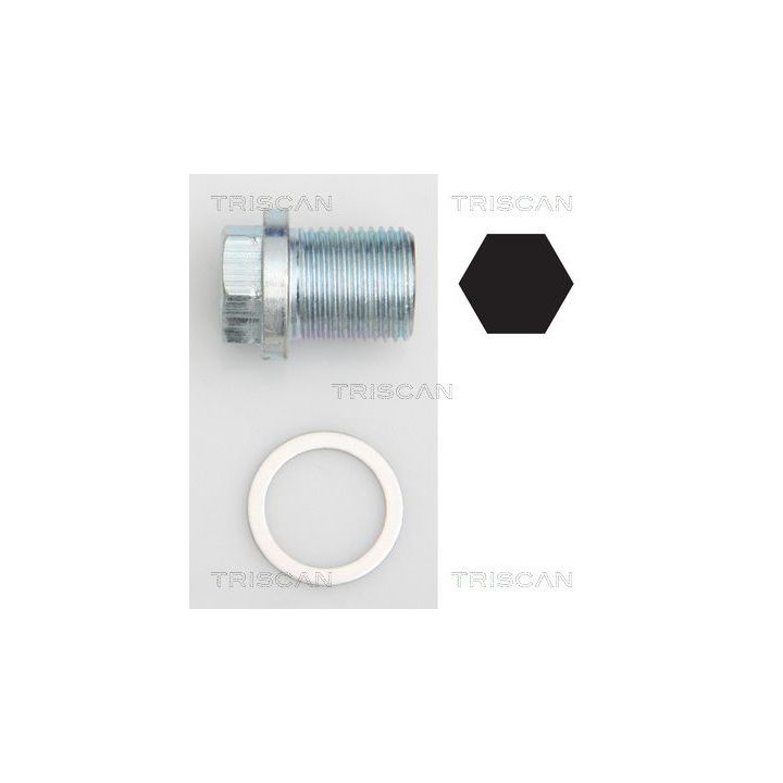 Alyvos išleidimo kaištis, alyvos karteris TRISCAN 9500 1002