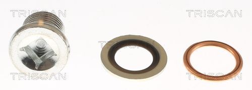 Alyvos išleidimo kaištis, alyvos karteris TRISCAN 9500 1003-20