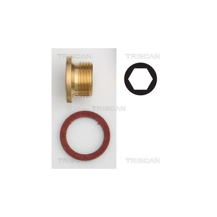 Alyvos išleidimo kaištis, alyvos karteris TRISCAN 9500 1005