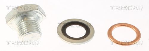 Alyvos išleidimo kaištis, alyvos karteris TRISCAN 9500 1006